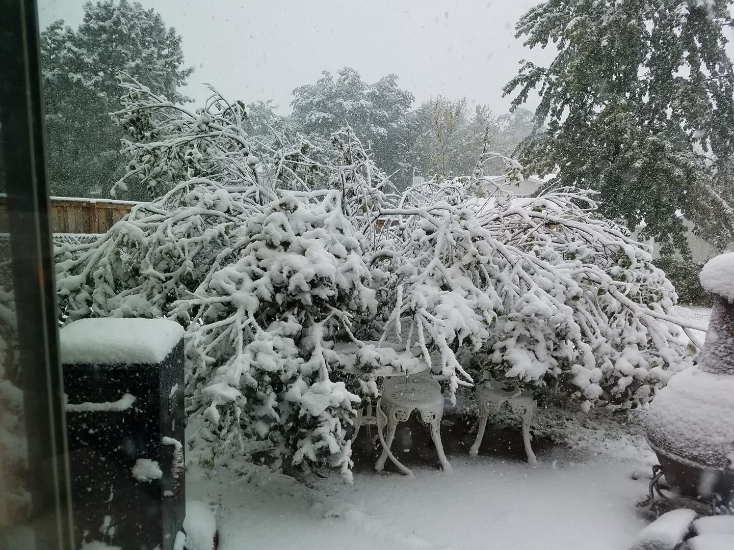 Snow, 10/14